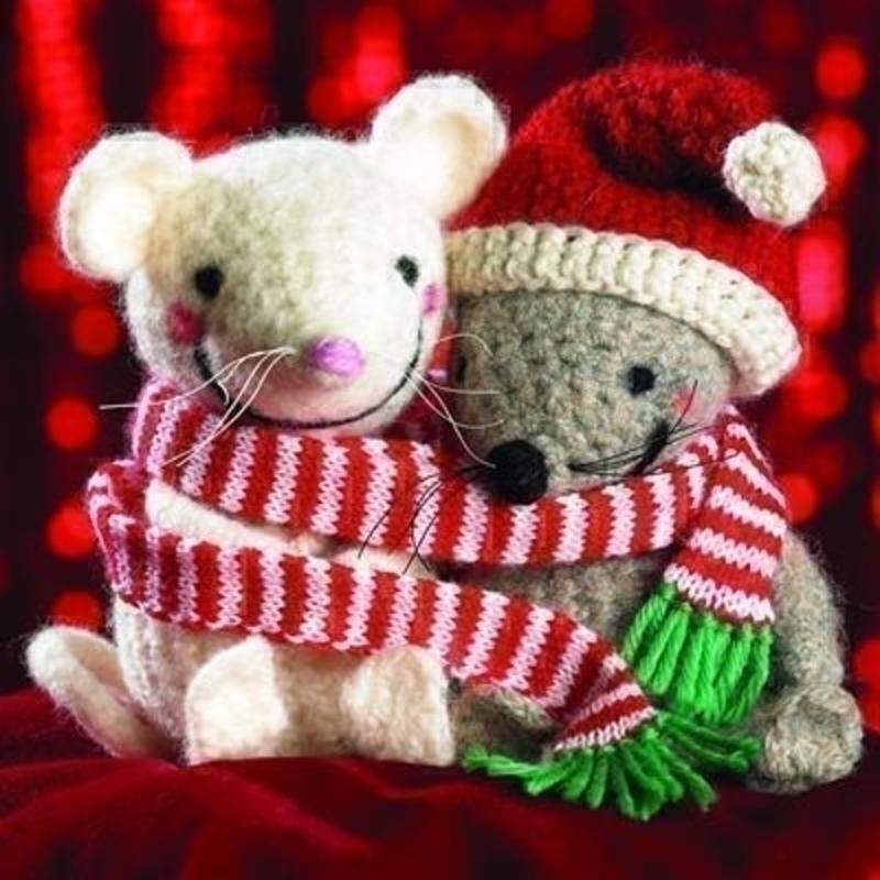 Celebrate Christmas with this pack of 10 charity cards and help support a great cause Great Ormond Street Childrens Hospital. The front of the card shows a pair of hand knitted mice all snuggled up in their Christmas woollens. Message inside reads Merry Christmas and a Happy New Year. Size 14cm x 14cm.